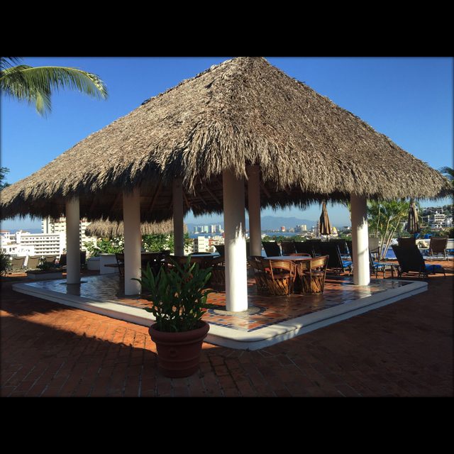 Palapa