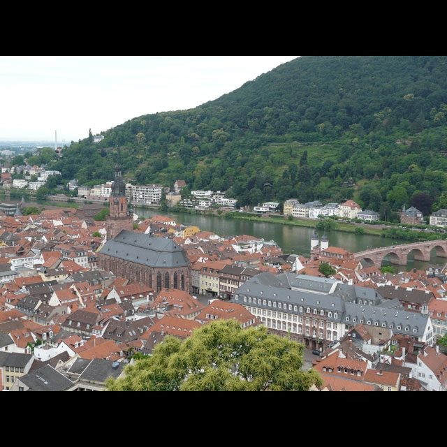 heidelberg_6_8d